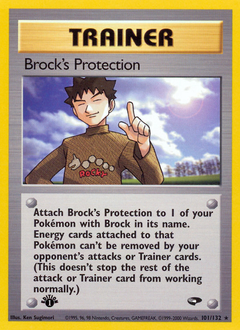 gym-challenge Brock's Protection gym2-101
