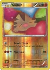 xy8 xy8-80-Swinub-pc-Reverse Holo