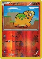 xy9 xy9-12-Numel-pc-Reverse Holo