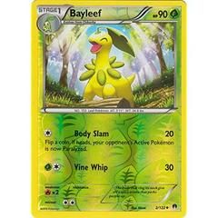 xy9 xy9-2-Bayleef-pc-Reverse Holo