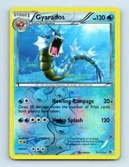 bw11 bw11-31-Gyarados-pc-Reverse Holo