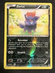 bw11 bw11-89-Zorua-pc-Reverse Holo