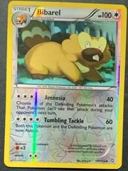 bw6 bw6-107-Bibarel-pc-Reverse Holo