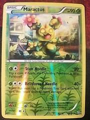 bw6 bw6-16-Maractus-pc-Reverse Holo