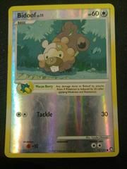 dp2 dp2-73-Bidoof-pc-Reverse Holo