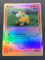 ex3 ex3-69-Numel-pc-Reverse Holo