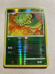 pl1 pl1-43-Carnivine-pc-Reverse Holo