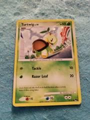 pop6 pop6-17-Turtwig-pc-Holo