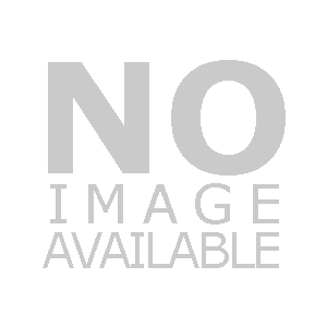 sv8 sv8-43-Spheal-pc-Reverse Holo